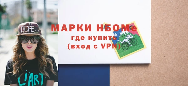 бошки Инта