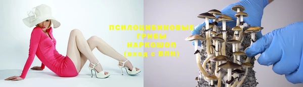бошки Инта