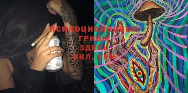 бошки Инта
