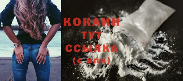 бошки Инта