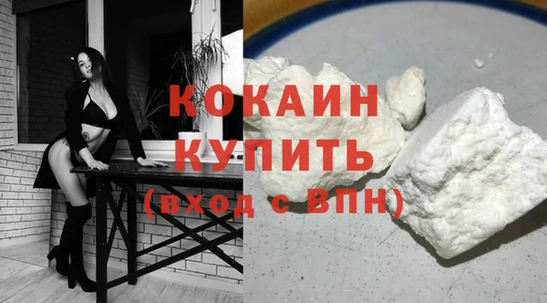 бошки Инта