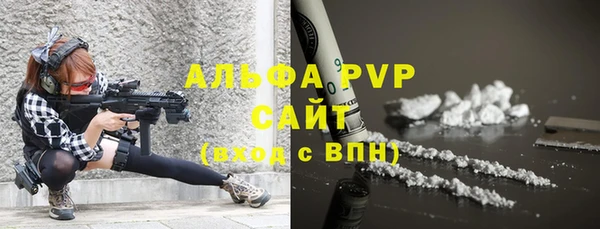 бошки Инта